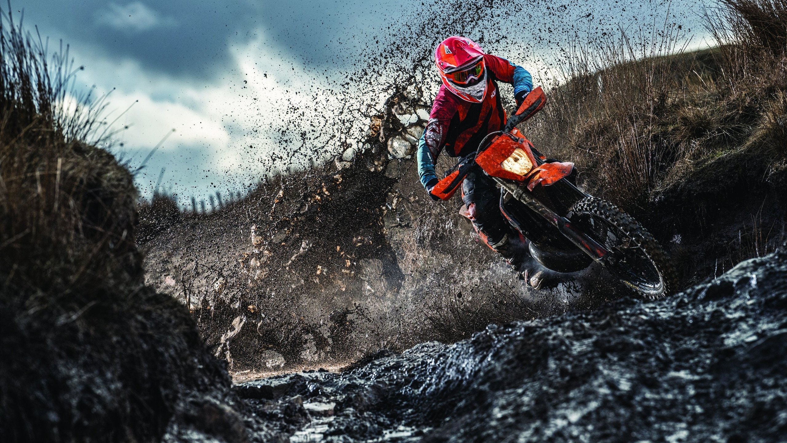 体育焦点人物专题深度解析,体育聚焦